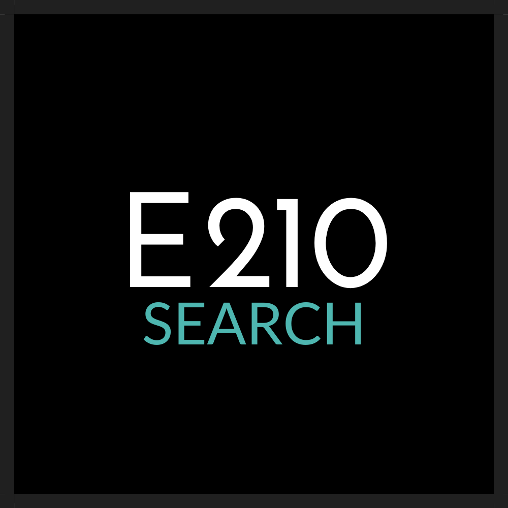 E210 Search logo